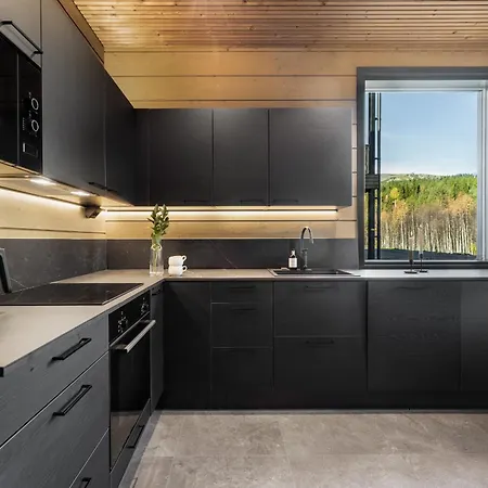 Levin Lyhty Beatrice B1 By Hilla Levi