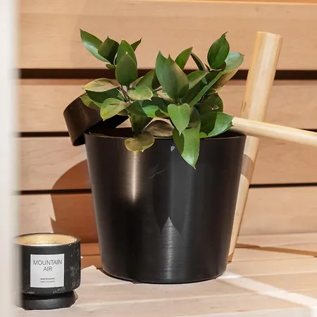 Levin Lyhty Beatrice B1 By Hilla Levi