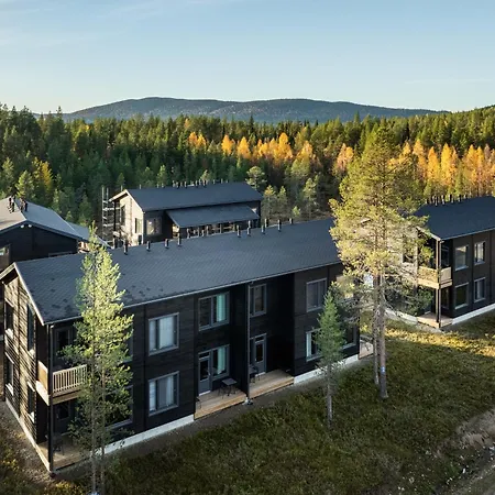 Levin Lyhty Beatrice B1 By Hilla *